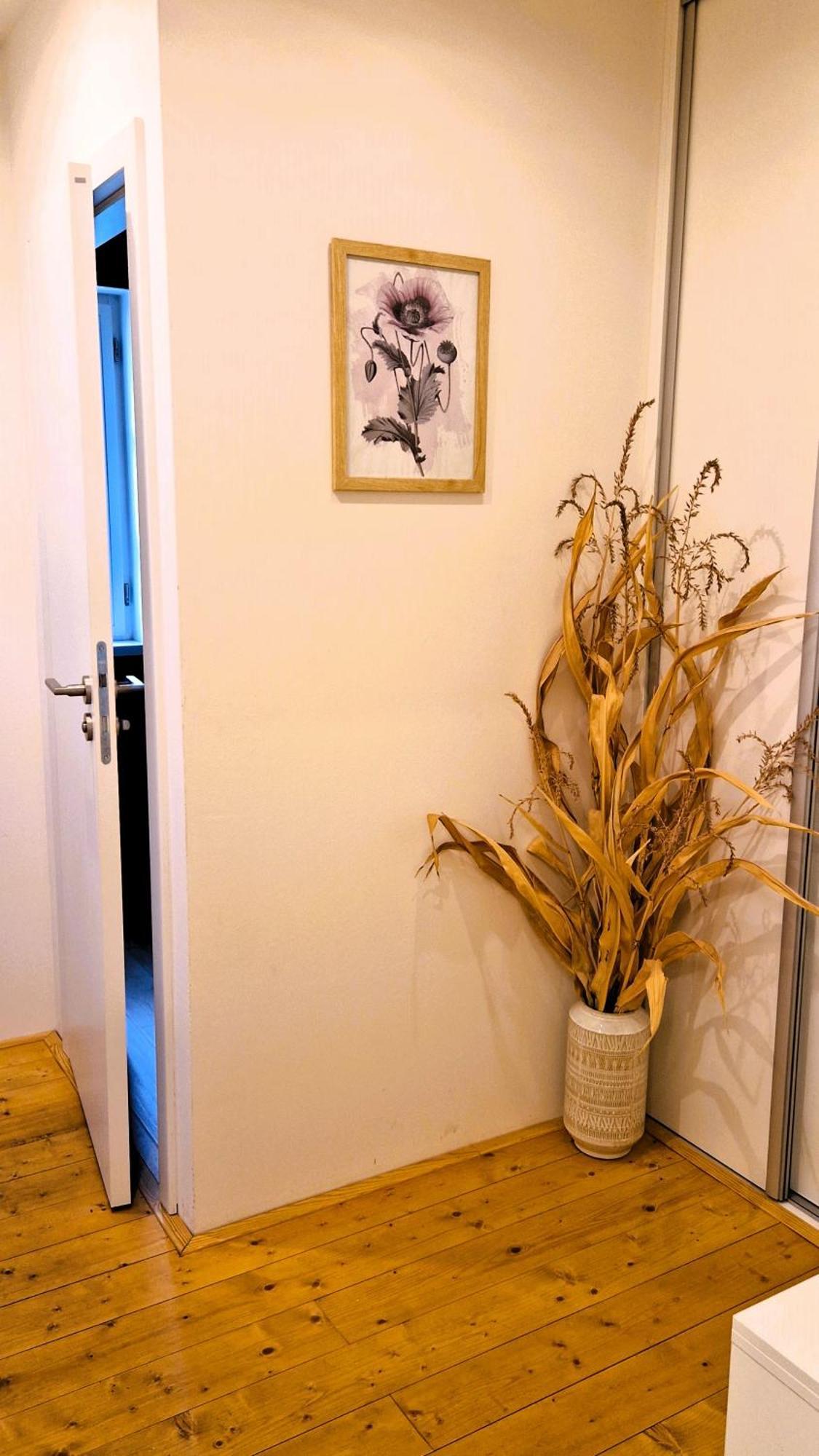 Apartmany Vcelin Brniste Exterior photo