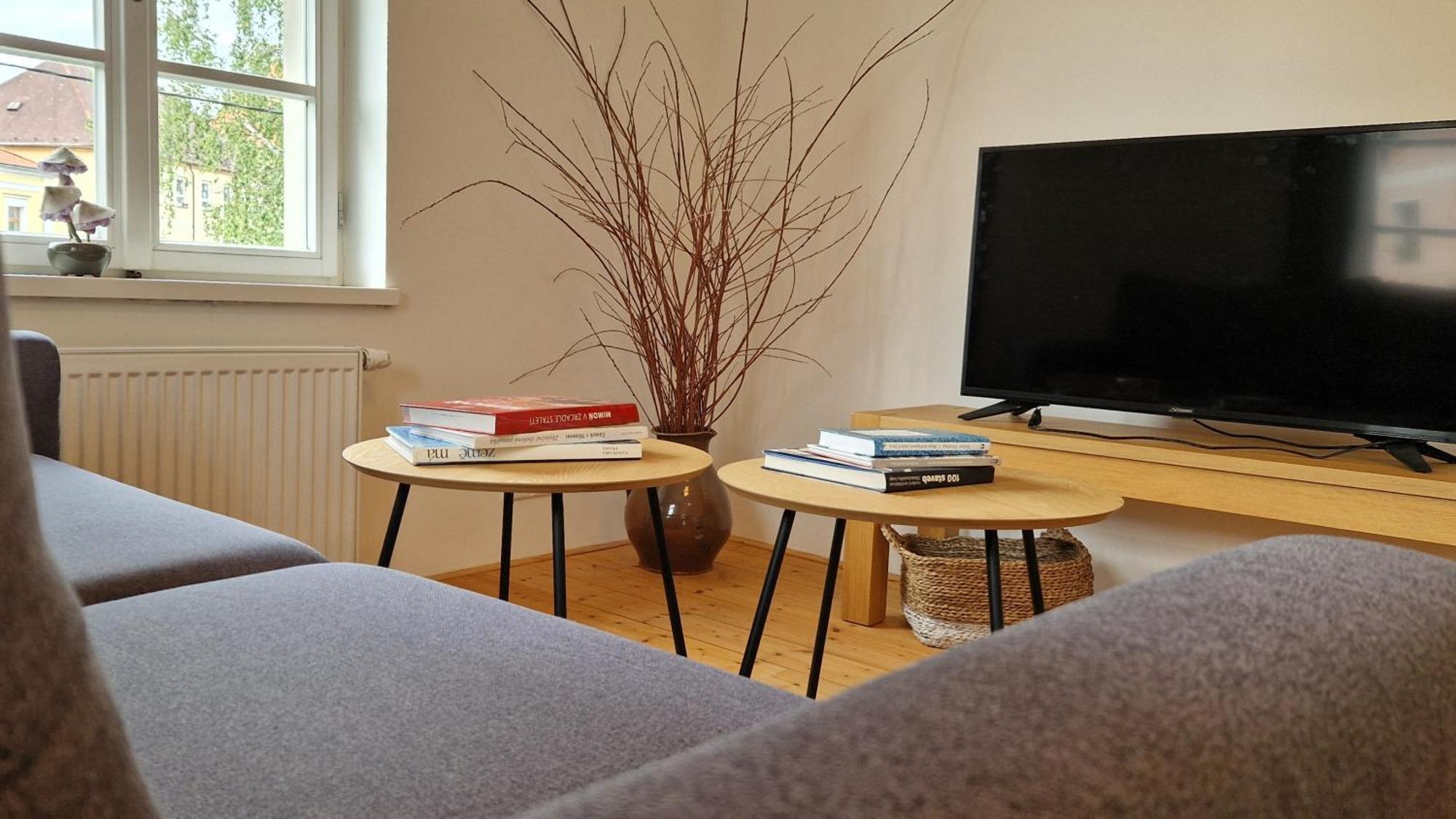 Apartmany Vcelin Brniste Exterior photo